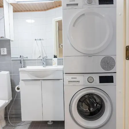 Arctic Tammela With Sauna And Free Parking דירה רובניימי