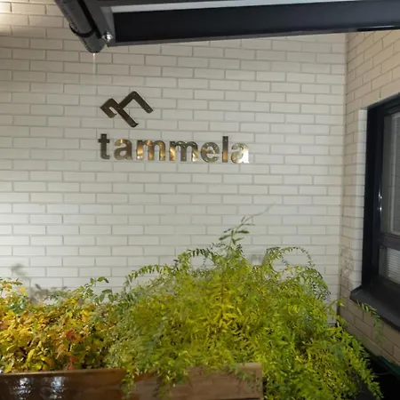 Arctic Tammela With Sauna And Free Parking Appartement *